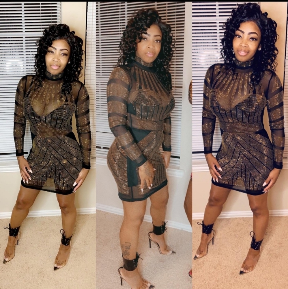 Nwt Mesh Club dress